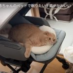 キャプチャ