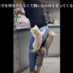 キャプチャ