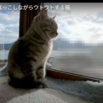 キャプチャ