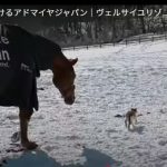キャプチャ