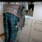 キャプチャ