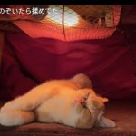 キャプチャ
