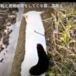 キャプチャ