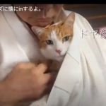 キャプチャ