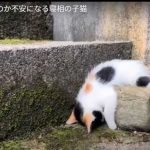 キャプチャ