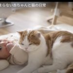 キャプチャ