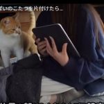 キャプチャ