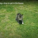 キャプチャ