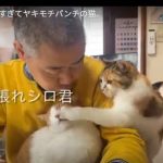 キャプチャ