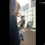 キャプチャ