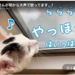 キャプチャ