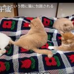 キャプチャ