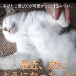 キャプチャ