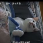キャプチャ