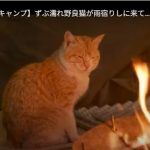 キャプチャ