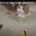 キャプチャ
