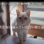 キャプチャ