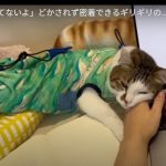 キャプチャ