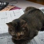 キャプチャ