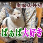 キャプチャ