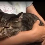 キャプチャ