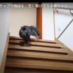 キャプチャ