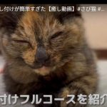 キャプチャ
