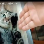 キャプチャ