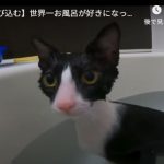 キャプチャ