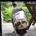 キャプチャ