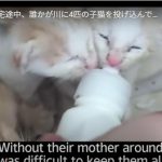 キャプチャ
