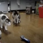 キャプチャ