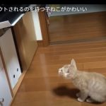 キャプチャ