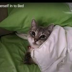 キャプチャ