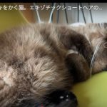 キャプチャ