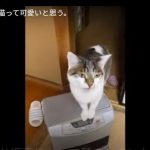 キャプチャ