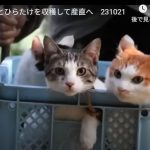キャプチャ
