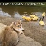 キャプチャ