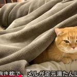 キャプチャ