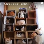 キャプチャ