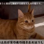キャプチャ
