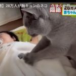 キャプチャ