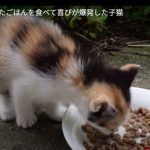 キャプチャ