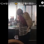 キャプチャ