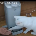 キャプチャ