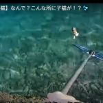 キャプチャ