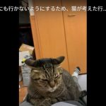 キャプチャ