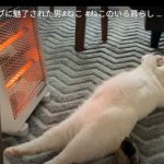 キャプチャ