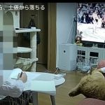 キャプチャ