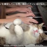 キャプチャ